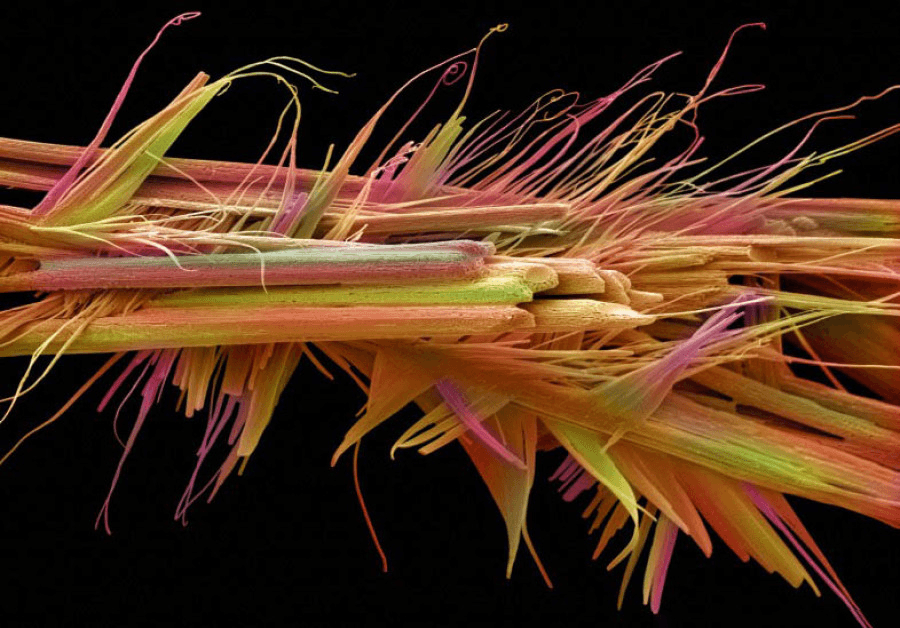 Green tea caffeine crystal reference