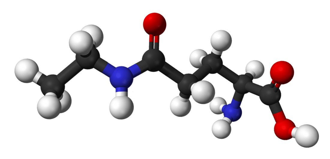L-theanine reference
